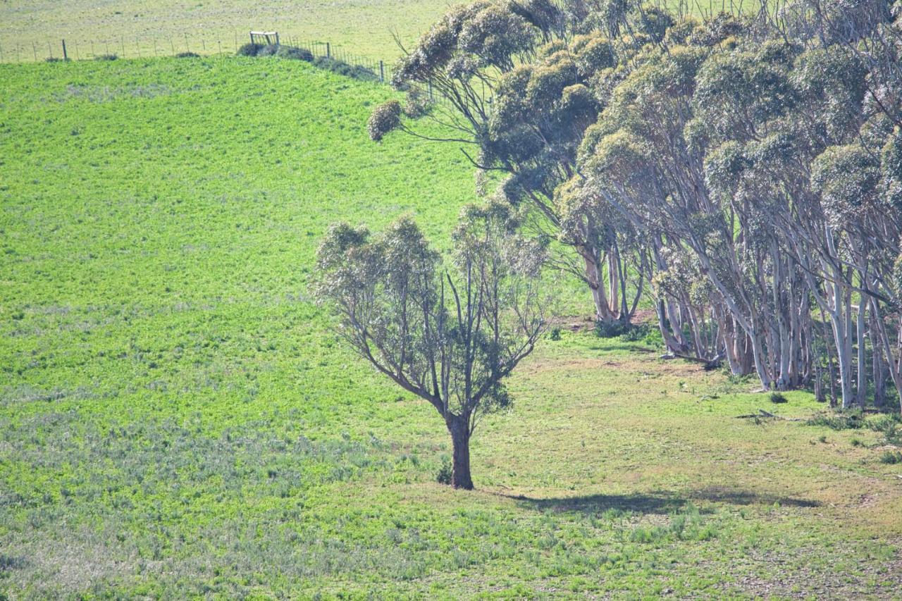 Old Sam'S Cottage Bredasdorp Dış mekan fotoğraf